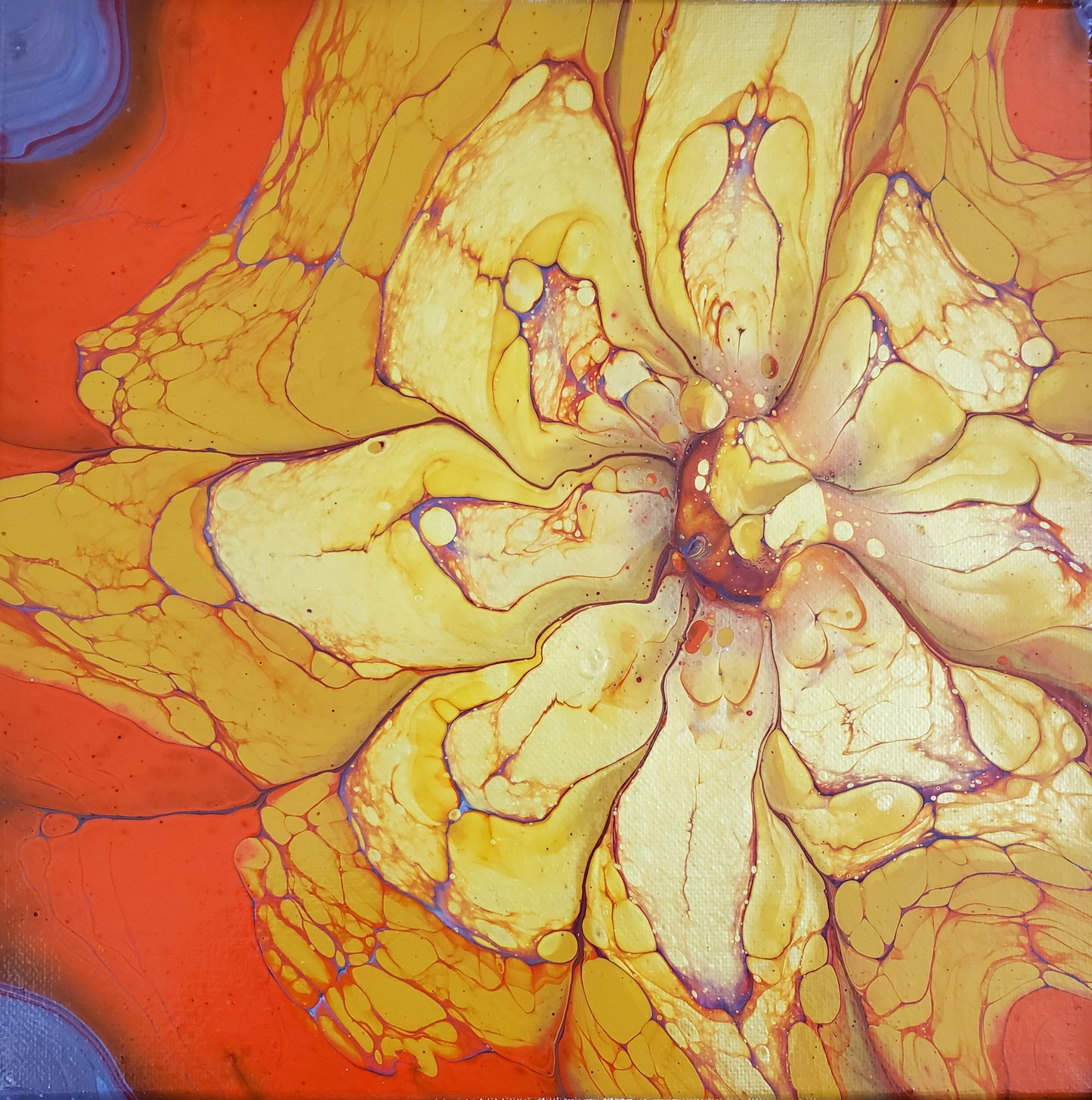 Golden Dahlia 2022