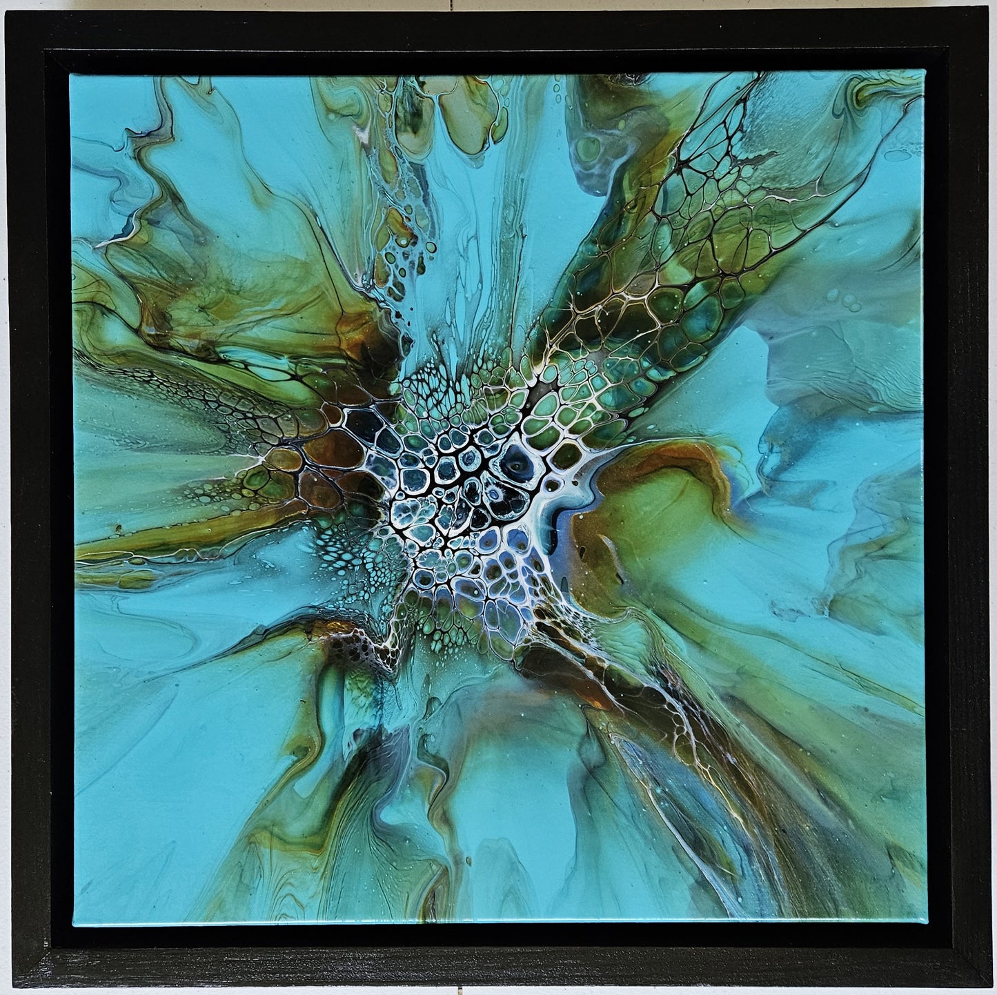Calypso Bloom 2024