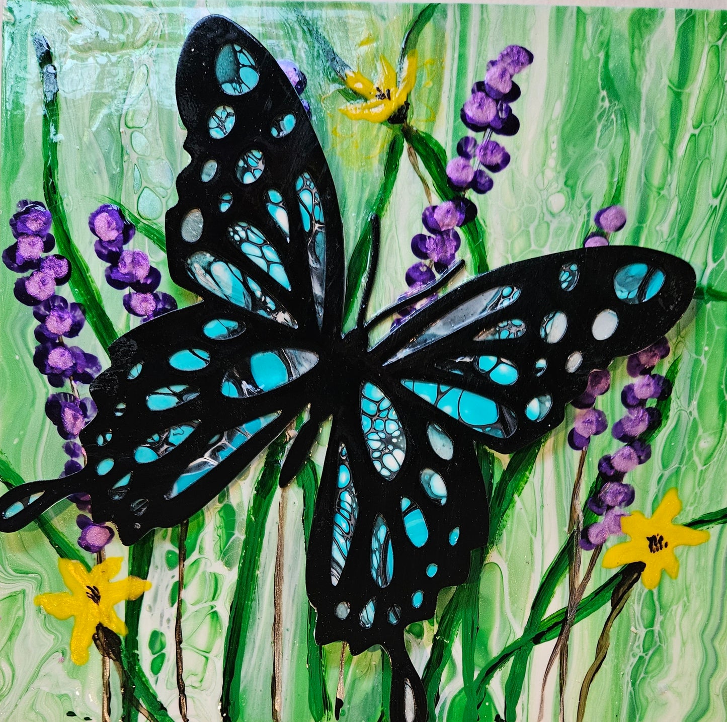 Butterfly Haven 2025