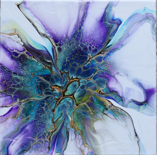 Violet Serenade 2024