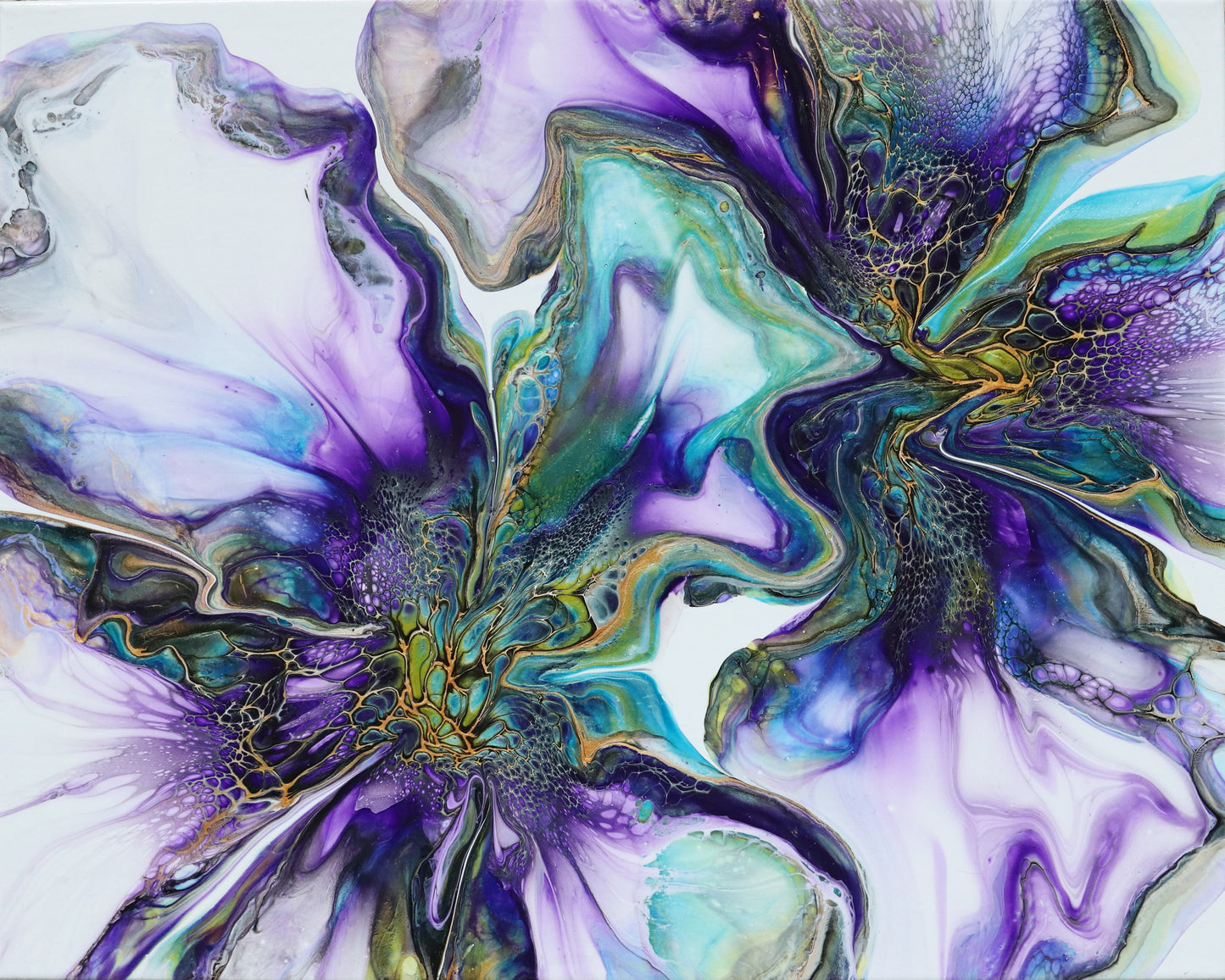 Violet Tranquility 2024