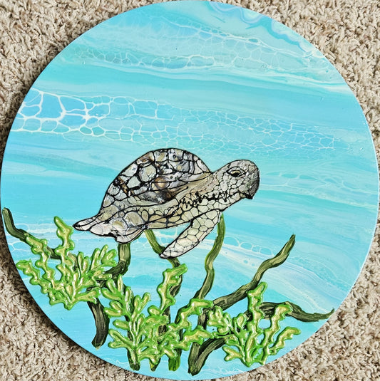 Sea Explorer 2024