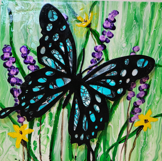 Butterfly Haven 2025